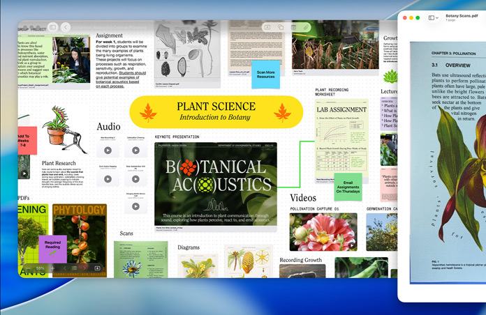 En Freeform-tavle om plantelære på Mac, organisert med lyd, videoer og forskning, vises ved siden av et Forhåndsvisning-vindu med en PDF, noe som viser hvor enkelt det er å være produktiv.