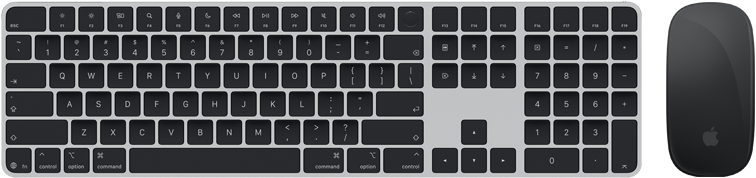 Pogled odozgo na Magic Keyboard s Touch ID-jem i Magic Mouseom