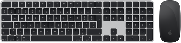 Top view of Magic Keyboard with Touch ID and Magic Mouse