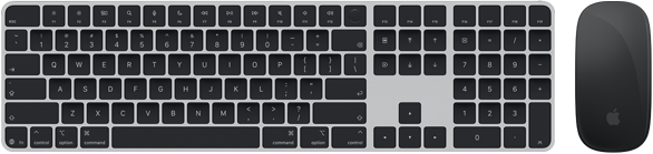 Vedere de sus a tastaturii Magic Keyboard cu Touch ID și Magic Mouse