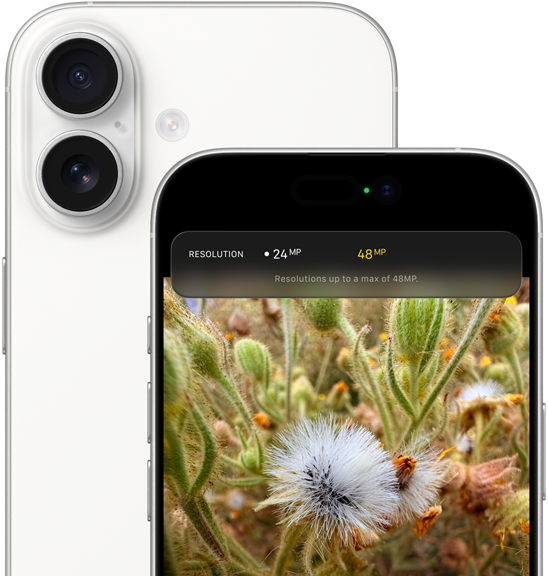 白色 iPhone 17，機身背面展示圓角設計、左上角的雙融合相機系統；機身正面展示動態島、圓角設計。